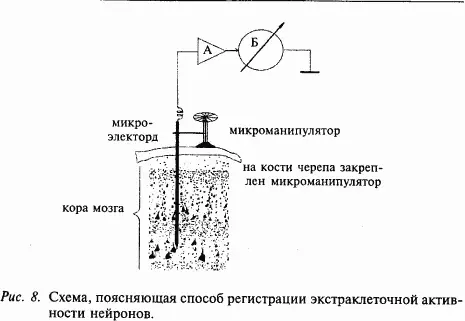 Другой широко распространенный тип микроэлектродов изготавливают из стеклянных - фото 8