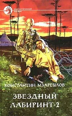 Константин Мзареулов Звёздный лабиринт – 2 обложка книги