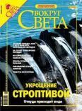 Вокруг Света Журнал «Вокруг Света» № 11 за 2004 год (2770) обложка книги