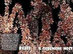 В широком понимании слово миграция от латинского migratio означает любое - фото 2