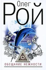 Олег Рой - Обещание нежности