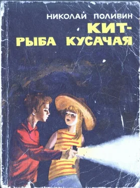 Николай Поливин Корабельная сторона обложка книги