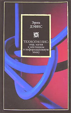 Эрик Дэвис Техногнозис: миф, магия и мистицизм в информационную эпоху обложка книги