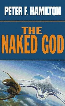 Peter Hamilton The Naked God - Faith обложка книги