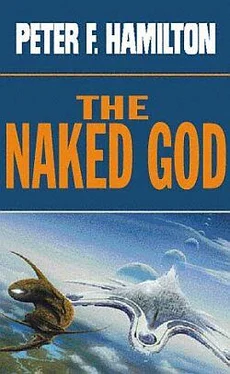 Peter Hamilton The Naked God - Flight обложка книги