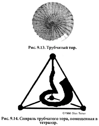 Стэн Тенен посвятив двадцать лет исследованиям сумел проследить форму - фото 15