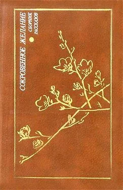 Фуми Яхиро Старшая сестра обложка книги