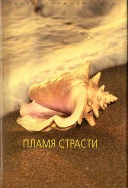 Шарлотта Хайнс Небесный поцелуй обложка книги