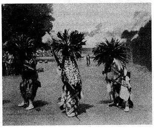 Bailes samba Bamenda Todo esto podría dar la impresión de una vida colonial - фото 5