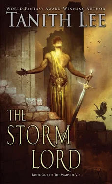 Танит Ли The Storm Lord обложка книги