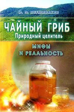 Иван Неумывакин Чайный гриб — природный целитель. Мифы и реальность обложка книги