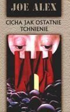 Joe Alex Cicha jak ostatnie tchnienie обложка книги