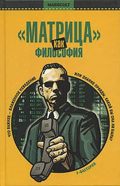 Уильям Ирвин Матрица как философия обложка книги