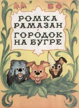 Константин Лагунов Ромка Рамазан обложка книги