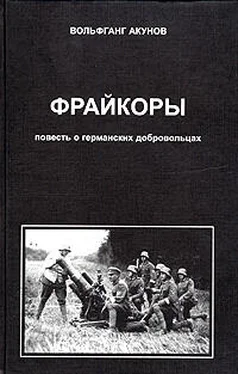 Вольфганг Акунов Фрейкоры 1.Повесть о германских добровольцах обложка книги