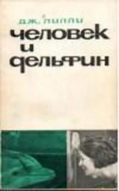 Джон Лилли Человек и дельфин обложка книги