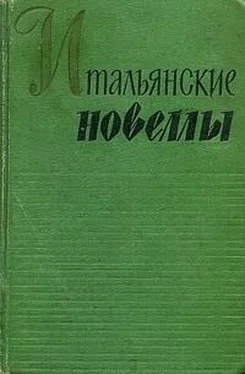 Габриэле д'Аннунцио Перевозчик обложка книги