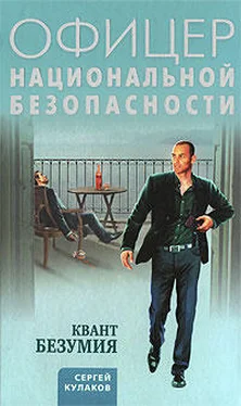 Сергей Кулаков Квант безумия обложка книги