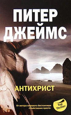 Питер Джеймс Антихрист обложка книги