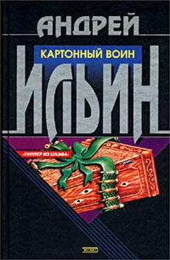 Андрей Ильин Картонный воин обложка книги