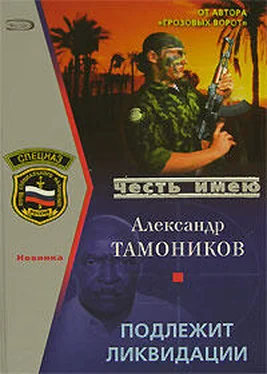 Александр Тамоников Подлежит ликвидации обложка книги