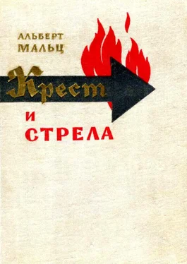 Альберт Мальц Крест и стрела обложка книги