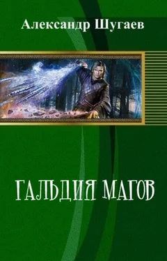 Александр Шугаев Гильдия магов [СИ] обложка книги