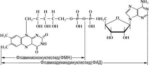 Участвует в окислительновосстановительных процессах организма Молекулярная - фото 1