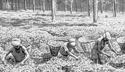 Большая Советская Энциклопедия УГ - фото 13