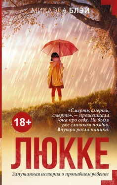 Микаэла Блэй Люкке обложка книги