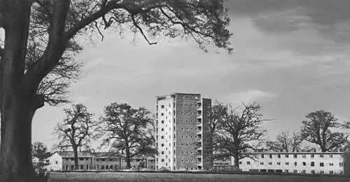 Ф Гибберд Жилые дома в городеспутнике Харлоу 195051 Гиббереллины - фото 5