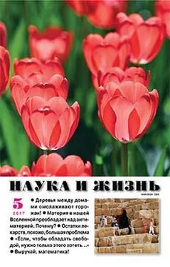 Святослав Логинов Свой мир обложка книги