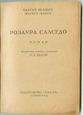 Висенте Бласко Розаура Салседо обложка книги