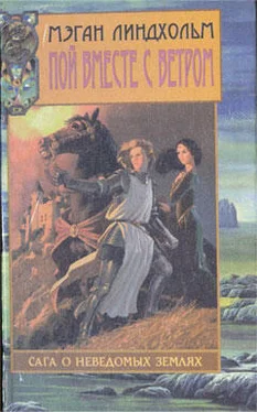 Мэган Линдхольм Пой вместе с ветром обложка книги