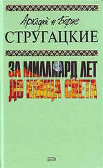 Аркадий и Борис Стругацкие - Пять ложек эликсира