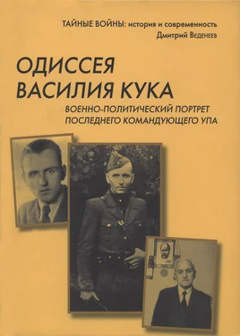 Дмитрий Веденеев Одиссея Василия Кука обложка книги