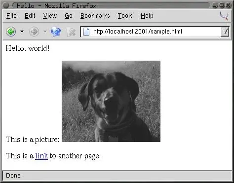 Figure 261 Sample Web page The browser and server communicate using a - фото 12