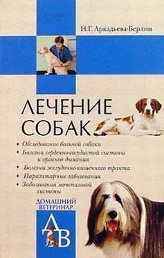 Ника Аркадьева-Берлин Лечение собак: Справочник ветеринара обложка книги
