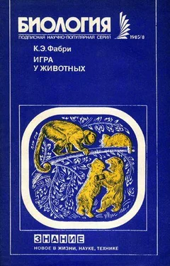 Курт Фабри Игра у животных обложка книги