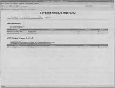 Рис 226 Flashплагин установлен в браузере 2413 Поддержка PDF - фото 92