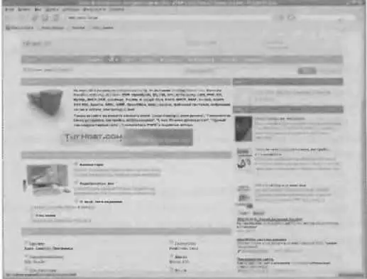Рис 227 Браузер Firefox в работе 242 Клиент для мгновенного обмена - фото 93