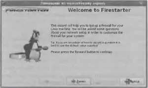 Рис 78 Стартовое окно мастера Firestarter Первым делом мастер попросит - фото 236