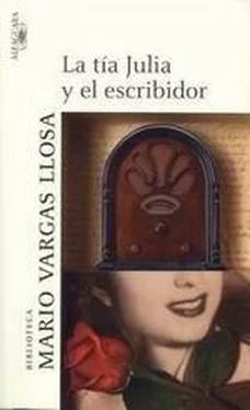 Mario Llosa La Tía Julia Y El Escribidor обложка книги