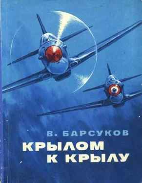 Василий Барсуков Крылом к крылу