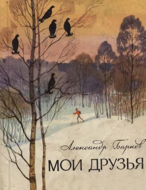 Александр Барков Мои друзья обложка книги