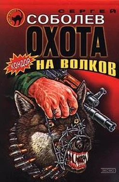 Сергей Соболев Охота на волков обложка книги