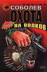 Сергей Соболев - Охота на волков