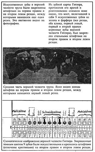 Когда Адольф Гитлер 12 сентября 1919 г будучи никому не известным солдатом - фото 14
