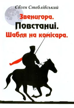 Євген Стеблівський Звенигора. Повстанці.Шабля на комісара (2012) (hurtom.com) обложка книги