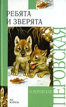 Ольга Перовская Ребята и зверята обложка книги